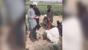 سقوط کودکان به داخل چاه