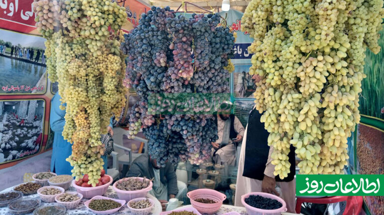 جشنواره‌ی انگور هرات