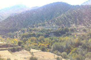 منابع: طالبان جنگلات طبیعی پنجشیر را به‌خاطر گرم‌کردن پاسگاه‌های‌شان قطع می‌کنند