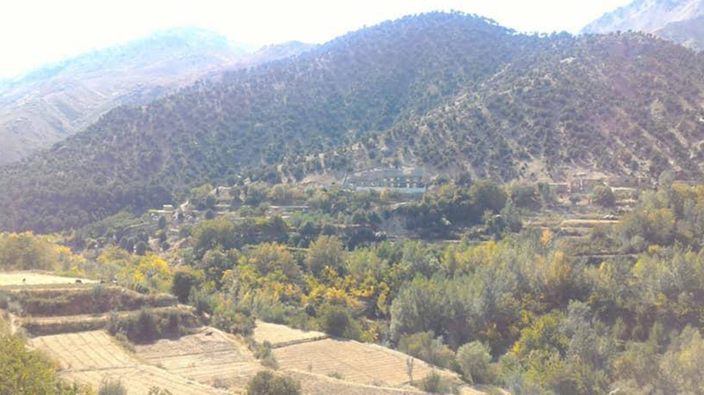منابع: طالبان جنگلات طبیعی پنجشیر را به‌خاطر گرم‌کردن پاسگاه‌های‌شان قطع می‌کنند