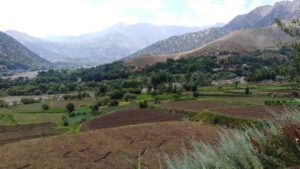 ولسوالی نجراب کاپیسا