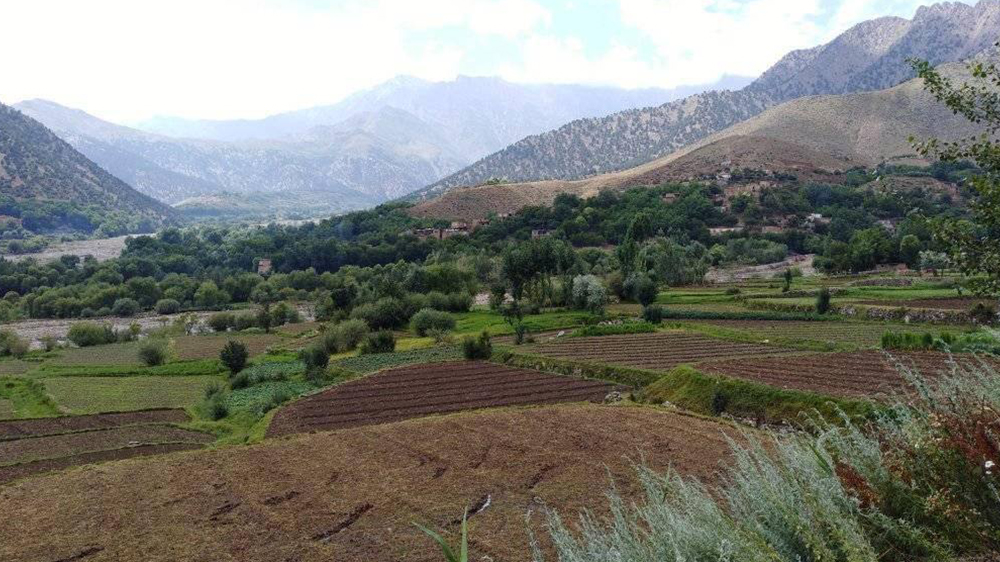 ولسوالی نجراب کاپیسا