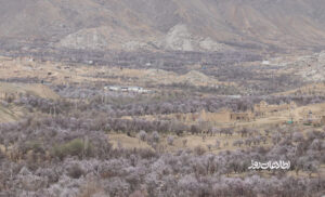 دایکندی